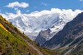 China's glaciers in Tibet