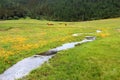 China`s Shangri-La Pudacuo National Park Bita Seaview District Royalty Free Stock Photo