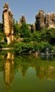 China's Stone Forest