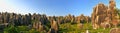 China's Stone Forest