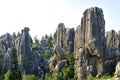 China's Stone Forest