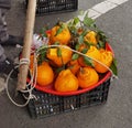 China Sichuan Chengdu Fresh Farm Fruit Giant Mandarin Tangerine Oranges Snack Cultural Intangible Heritage Food Cuisine Style