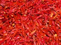 China Sichuan Cuisine Village Red Hot Spicy Chili Pepper Drying Vegetable Veggie Spice Home House Chinese Food Chengdu Snack Ingre