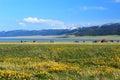 China Sinkiang, Sailimu Lake