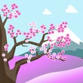 China spring landscape with sakura blossom on tree Royalty Free Stock Photo