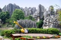 China: Stone Forest National Park