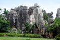 China: Stone Forest National Park