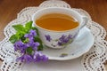 China tea cup with violets Royalty Free Stock Photo