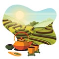 China tea green terrace fields plantation. Japanese tea ceremony, vector cartoon illustration