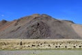 China, Tibet. China, Tibet. Mountain landscape on the way to lake Mershung Merchong in summer. Face-shaped stone on the slope