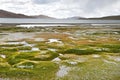 China, Tibet. lake Ngangla Ring Tso in summer in cloudy weather Royalty Free Stock Photo