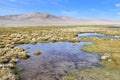 China, Tibet. Lake Ngangtse Nganga Tso 4690 m in June Royalty Free Stock Photo