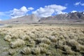 China, Tibet, mountains on Manasarovar lake shore Royalty Free Stock Photo