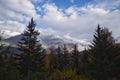 China western sichuan four girls hill with pine tree