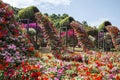 China, Wuzhizhou Island -Wuzhizhou Island. Beautiful bushes with flowers in pots, Flowers in Asia, editorial