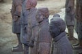 CHINA, XIAN - MARCH 14: Ping Ma Yong, Terra cotta army on 14 Mar Royalty Free Stock Photo