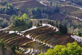 China Yunnan Hani Terrace Royalty Free Stock Photo