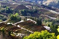 China Yunnan Hani Terrace Royalty Free Stock Photo