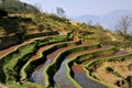 China Yunnan Hani Terrace View