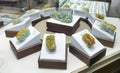 China Yunnan Kunming Xishuangbanna Green Jade Jewelry Treasure Collectible Natural Burma Stone Rock Gemstone Geology Nature