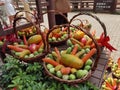 China Yunnan Xishuangbanna Wild Elephant Village Veggie Vegetable Papaya Banana Thai Tropical Fruits Elephants Meals Baskets