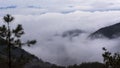 China Zhejiang cloudy mountain