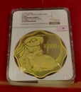 China Zodiac Animal Rabbit Year Gold Proof Coin Bunny NGC Graded Horses Chinese Culture Money Currency Precious Metals