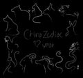 China zodiac Chinese animal symbol of 12 year art line brush stroke design