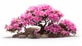 Chinapunk-inspired Sculpted Azalea Tree With Pink Flowers On White Background