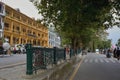 Chinar tree on mall road known govind ballabh pant marg , Nainital ,Uttarakhand