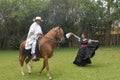 chincha , Peru Lady in dress dancing a traditional folk dance la marinera with a Peruvian Paso-caballo de paso -