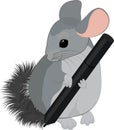 Chinchilla digital artist drawing or writing with digital pen or marker