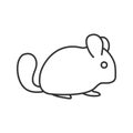 Chinchilla linear icon