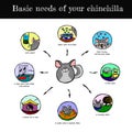 Chinchilla's needs scheme