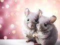 Chinchillas. Two confused chinchillas on a light blurred bokeh background with copy space for text. National hug day concept. Cute