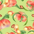 Chines fig peaches and leaves watercolor seamless pattern isolated on green background. Whole ripe fruits painting. Flat Royalty Free Stock Photo