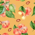 Chines fig peaches and leaves watercolor seamless pattern isolated on peach background. Whole ripe fruits painting. Flat Royalty Free Stock Photo