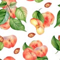 Chines fig peaches and leaves watercolor seamless pattern isolated on white. Whole ripe fruits painting. Flat peach on Royalty Free Stock Photo