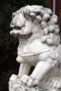 Chines gaurdian lions