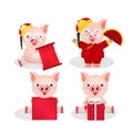 Chinese new year with cute pig Royalty Free Stock Photo