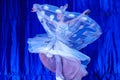 Chinese Acrobats & Dancers of Moonlight Forest Festival Royalty Free Stock Photo