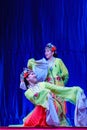 Chinese Acrobats & Dancers of Moonlight Forest Festival Royalty Free Stock Photo
