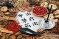 Chinese Acupuncture and Herbal Therapy Royalty Free Stock Photo