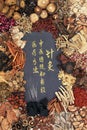Acupuncture Therapy with Chinese Herbs Royalty Free Stock Photo