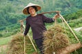 Chinese agricultural farm worker Royalty Free Stock Photo