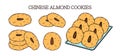 Chinese almond cookies vector illustration. Chinese New year dessert almond biscuit