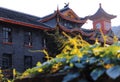 Chinese ancient buildings and climbing plants in the autumn afternoon