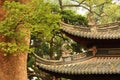 Chinese Ancient buildings and trees