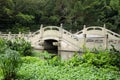 Chinese Arched bridge over water
