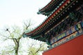 Chinese Architecture